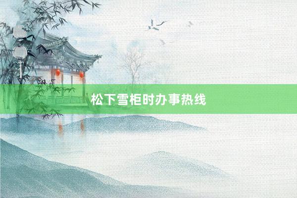 松下雪柜时办事热线