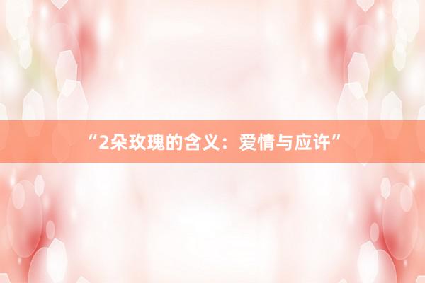 “2朵玫瑰的含义：爱情与应许”
